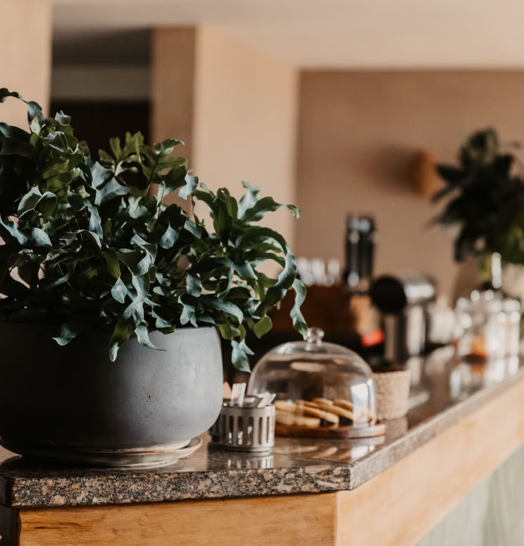 Immagine gratuita di accogliente, ambiance, Antipasti